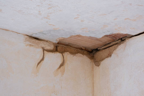 Best Carpet water damage restoration  in Cambridge, MA