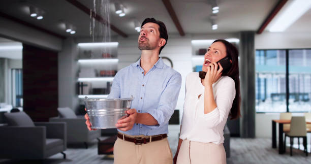  Cambridge, MA Water damage restoration Pros
